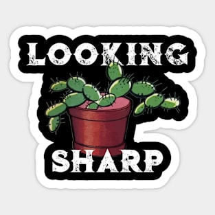 Looking Sharp Sticker